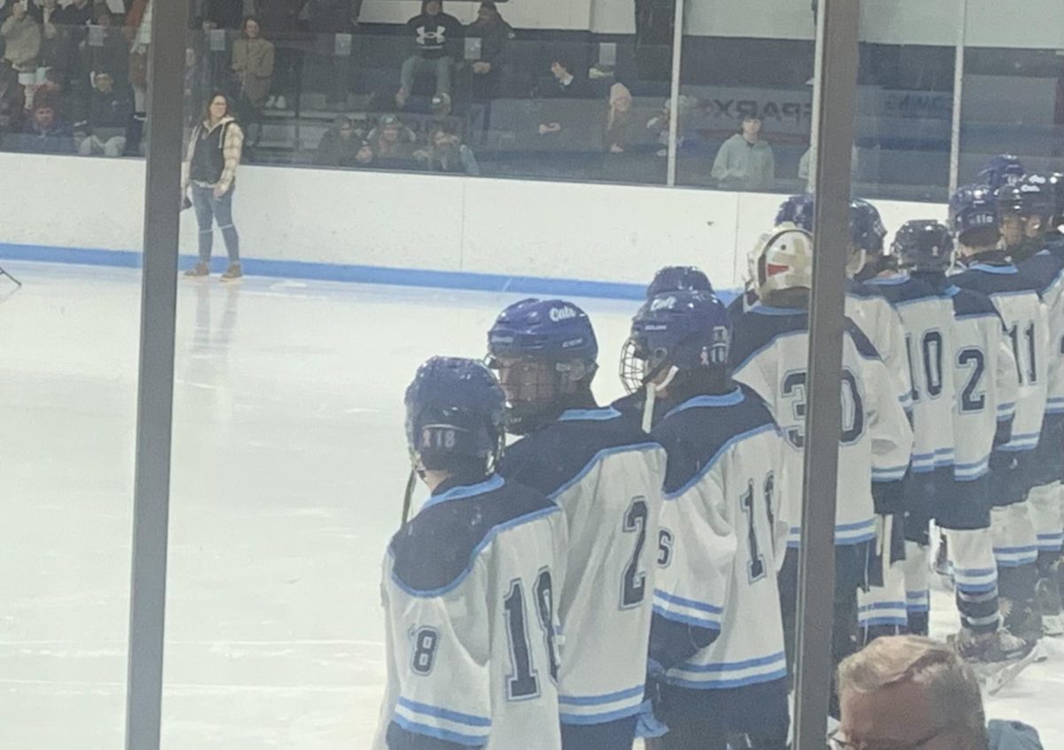 The Worcester Wildcats on the ice