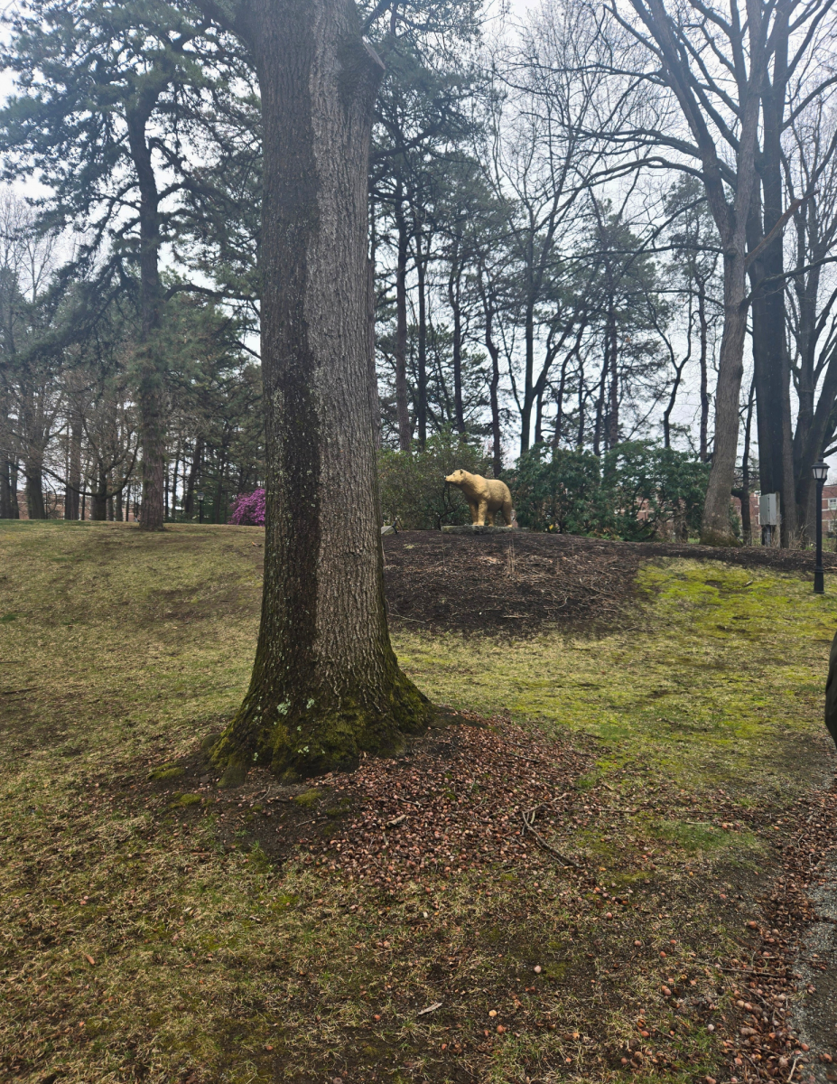 How I Spent the Day at Western New England University. 