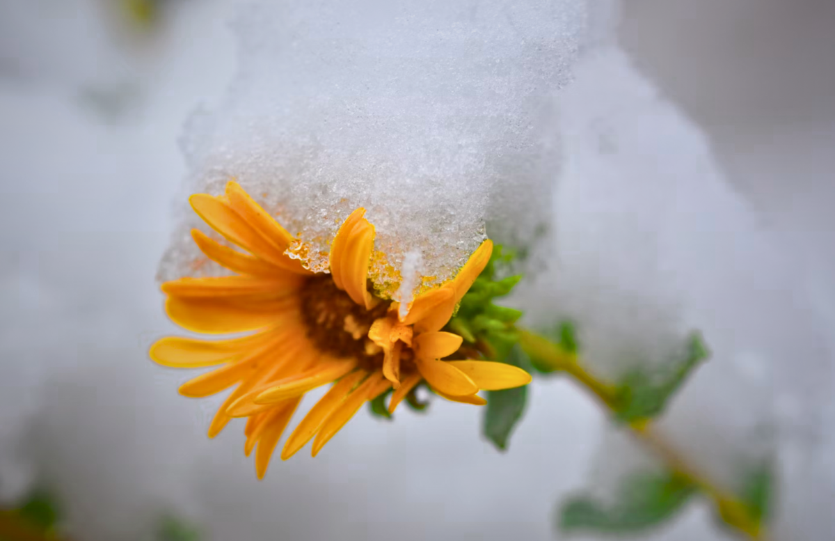 Snowfall during Spring? How is this possible?