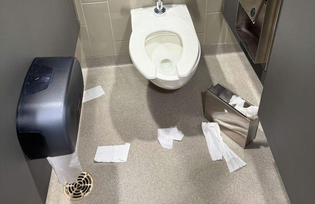 Recent picture of a bathroom stall here at DMHS.