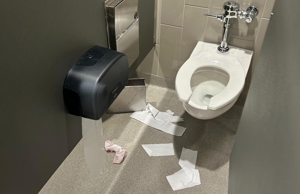 Keeping DMHS's Bathrooms Clean | An Exclusive Interview with Mr. Staley & DMHS!