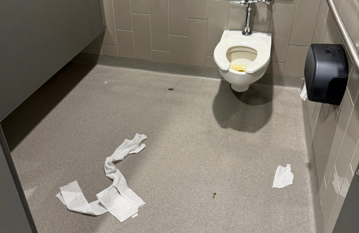 Keeping DMHS's Bathrooms Clean | An Exclusive Interview with Mr. Staley & DMHS!