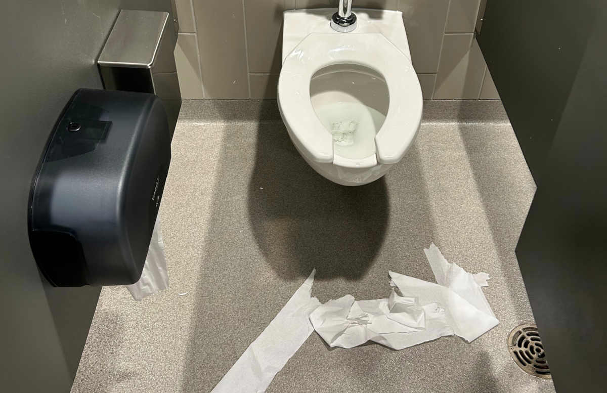 Keeping DMHS's Bathrooms Clean | An Exclusive Interview with Mr. Staley & DMHS!