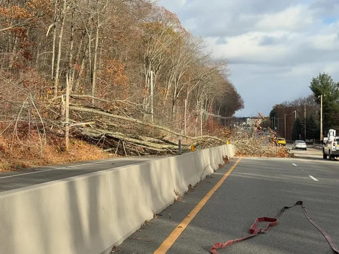 Power Outages Were Recorded on Tuesday After Tree Blocked Lanes in Shrewsbury