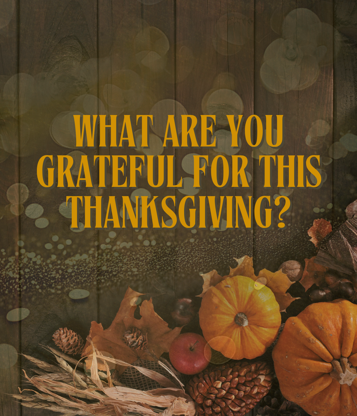 What Are You Grateful For This Thanksgiving?