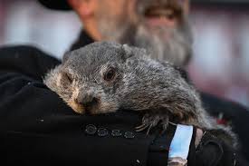 Punxsutawney Predictions