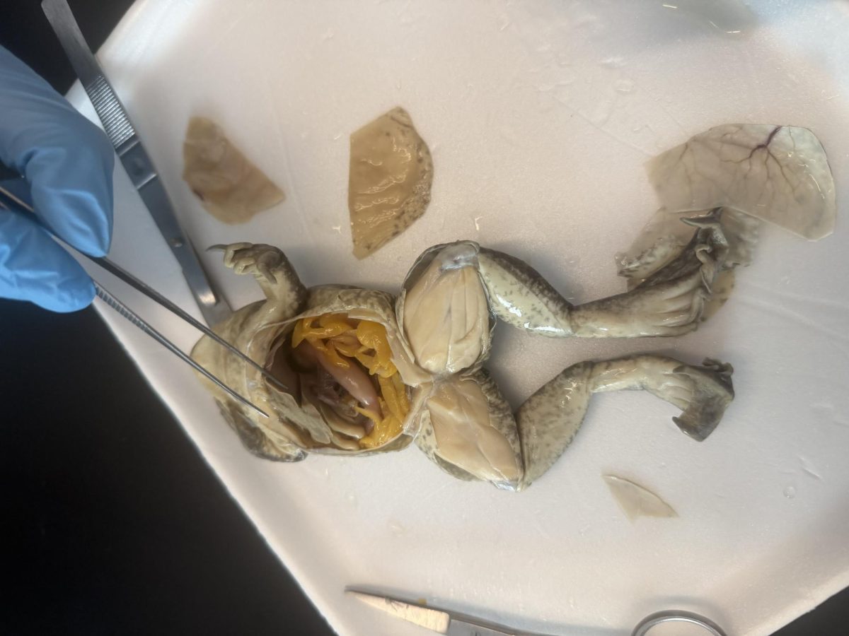Biology Stinks