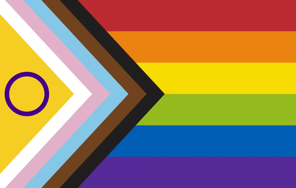 Happy LGBTQIA+ Pride Month! Here's What Each Pride Flag Looked Like Throughout the Years...