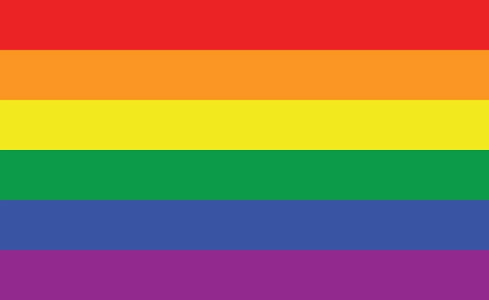 Happy LGBTQIA+ Pride Month! Here's What Each Pride Flag Looked Like Throughout the Years...