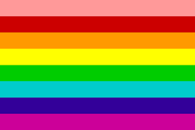 Happy LGBTQIA+ Pride Month! Here's What Each Pride Flag Looked Like Throughout the Years...
